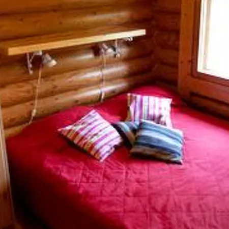 Honkapirtti Holiday home *