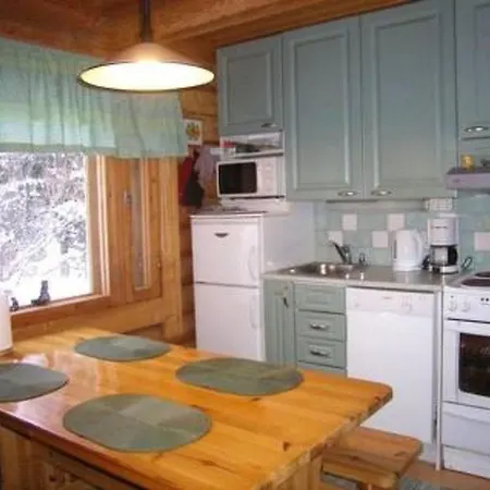 Holiday home Honkapirtti